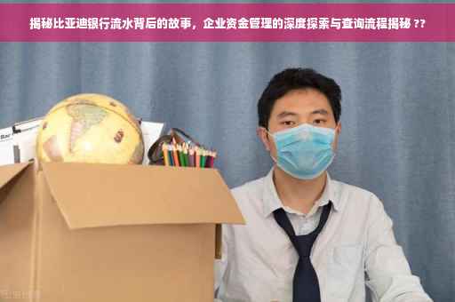 揭秘比亚迪银行流水背后的故事，企业资金管理的深度探索与查询流程揭秘 ??