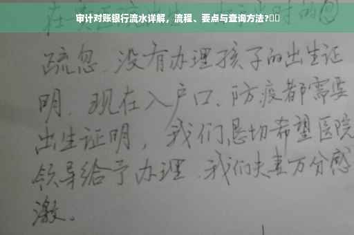 审计对账银行流水详解，流程、要点与查询方法?⚡️
