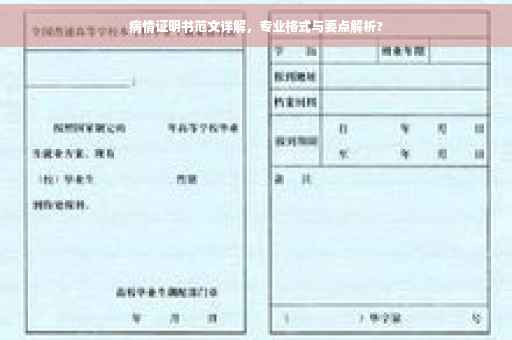 病情证明书范文详解，专业格式与要点解析?