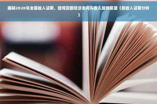 揭秘2020年全国收入证明，微观洞察经济走向与收入趋势展望（附收入证明分析）