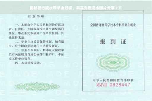 揭秘银行流水账单全过程，真实办理流水图片分享 ?⚡️
