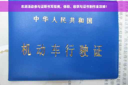 志愿活动参与证明书写指南，体验、收获与证书制作全攻略！