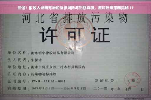 警惕！假收入证明背后的法律风险与犯罪真相，应对处理策略揭秘 ??