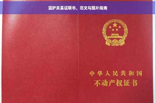 监护关系证明书，范文与图片指南