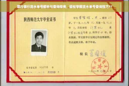 建行银行流水单号解析与查询指南，轻松掌握流水单号查询技巧??