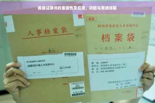 疾病证明书的重要性及应用，功能与用途详解