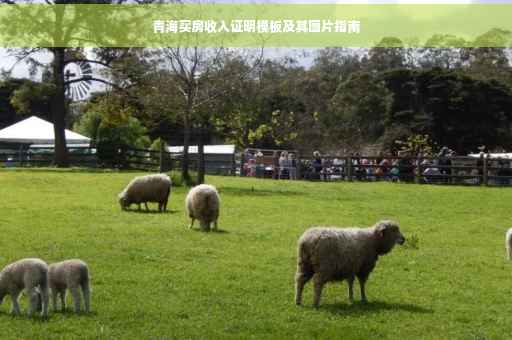 青海买房收入证明模板及其图片指南