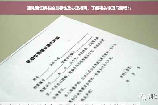 哺乳期证明书的重要性及办理指南，了解相关事项与流程??