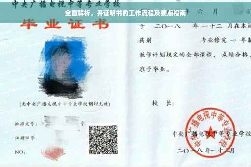 全面解析，开证明书的工作流程及要点指南