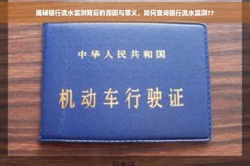 揭秘银行流水监测背后的原因与意义，如何查询银行流水监测??