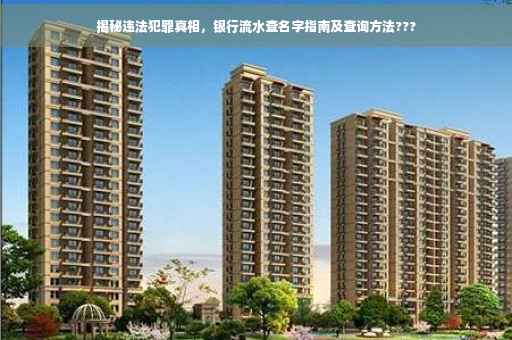 揭秘违法犯罪真相，银行流水查名字指南及查询方法???