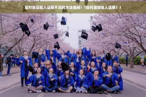 应对签证收入证明不足的方法揭秘！?如何调整收入证明？?
