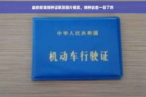 麻疹疫苗接种证明及图片概览，接种状态一目了然
