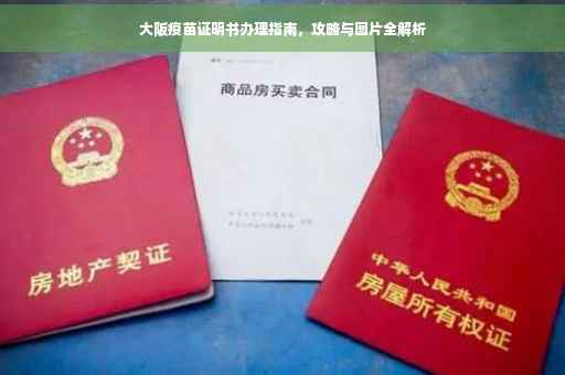 大阪疫苗证明书办理指南，攻略与图片全解析