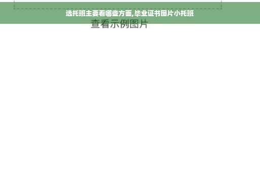 选托班主要看哪些方面,毕业证书图片小托班