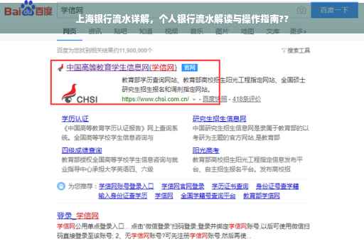 上海银行流水详解，个人银行流水解读与操作指南??