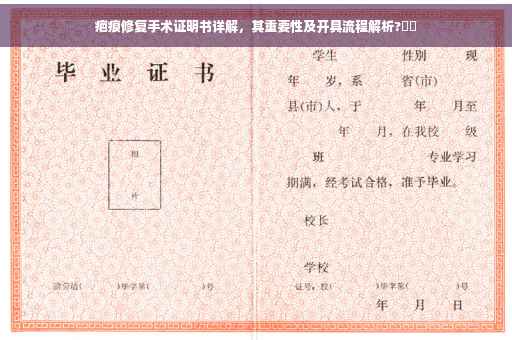 疤痕修复手术证明书详解，其重要性及开具流程解析?⚡️