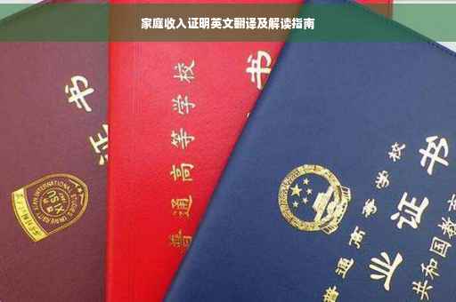 家庭收入证明英文翻译及解读指南