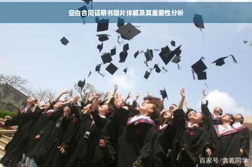 空白合同证明书图片详解及其重要性分析
