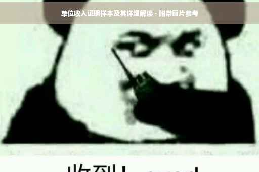 单位收入证明样本及其详细解读 - 附带图片参考