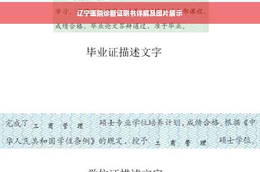 辽宁医院诊断证明书详解及图片展示