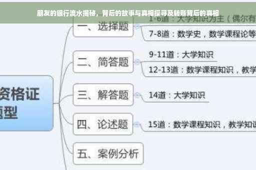 朋友的银行流水揭秘，背后的故事与真相探寻及转账背后的真相