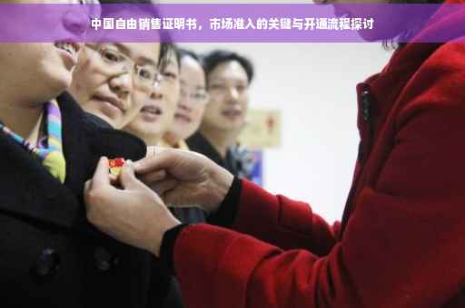 中国自由销售证明书，市场准入的关键与开通流程探讨