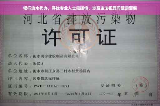 银行流水代办，寻找专业人士需谨慎，涉及违法犯罪问题需警惕