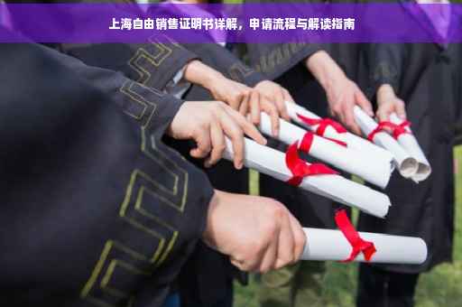 上海自由销售证明书详解，申请流程与解读指南