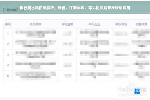 银行流水提供全解析，步骤、注意事项、常见问题解答及证明指南
