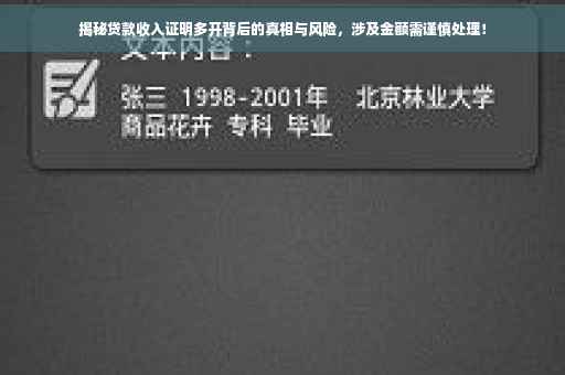揭秘贷款收入证明多开背后的真相与风险，涉及金额需谨慎处理！