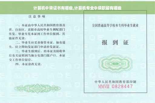 计算机中级证书有哪些,计算机专业中级职称有哪些 计算机中级证书有哪些,计算机专业中级职称有哪些