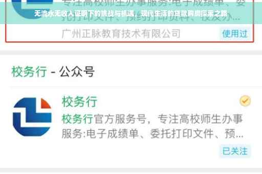 无流水无收入证明下的挑战与机遇，现代生活的贷款购房探索之路
