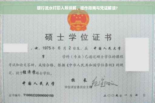 银行流水打印入账详解，操作指南与凭证解读?