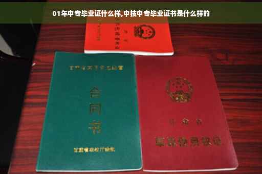 01年中专毕业证什么样,中技中专毕业证书是什么样的