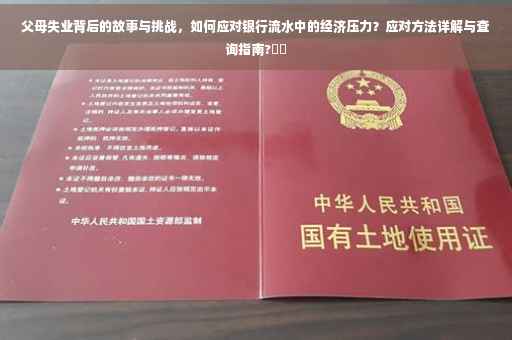 父母失业背后的故事与挑战，如何应对银行流水中的经济压力？应对方法详解与查询指南?⚡️