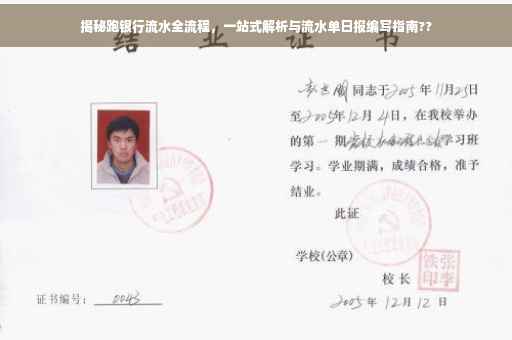 揭秘跑银行流水全流程，一站式解析与流水单日报编写指南??