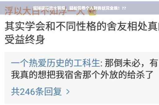 揭秘银行流水明细，轻松洞悉个人财务状况全貌！??