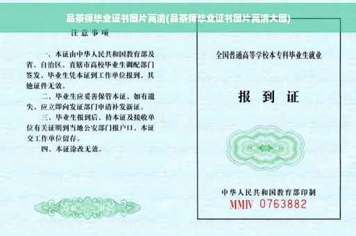 品茶师毕业证书图片高清(品茶师毕业证书图片高清大图)