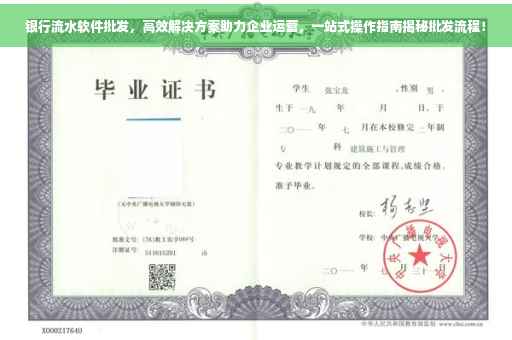 银行流水软件批发，高效解决方案助力企业运营，一站式操作指南揭秘批发流程！