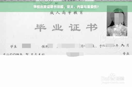 学校出资证明书详解，定义、内容与重要性?