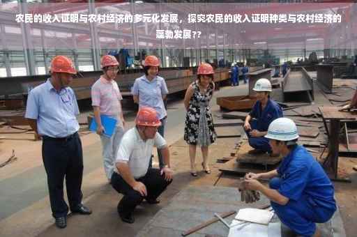 农民的收入证明与农村经济的多元化发展，探究农民的收入证明种类与农村经济的蓬勃发展??