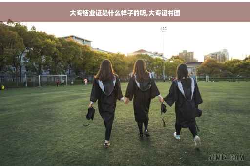 大专结业证是什么样子的呀,大专证书图