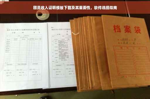 团员收入证明模板下载及其重要性，软件选择指南