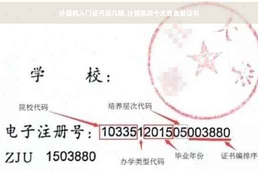 计算机入门证书是几级,计算机类十大含金量证书