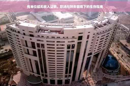 有单位却无收入证明，职场与财务困境下的生存指南