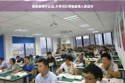 兽医要考什么证,大专可以考哪些准入类证书