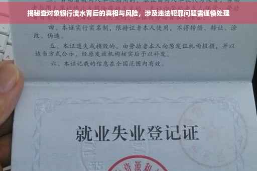 揭秘查对象银行流水背后的真相与风险，涉及违法犯罪问题需谨慎处理