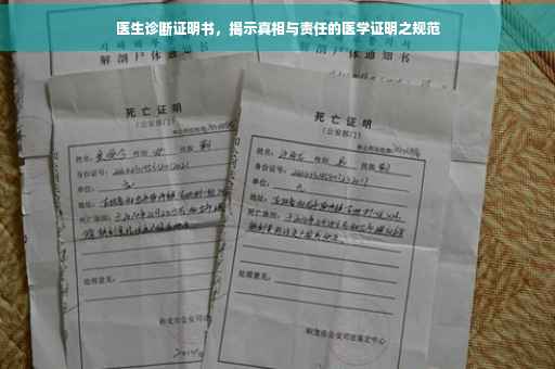 医生诊断证明书，揭示真相与责任的医学证明之规范