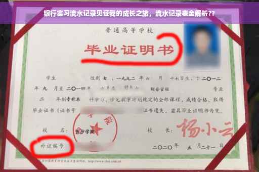 银行实习流水记录见证我的成长之旅，流水记录表全解析??